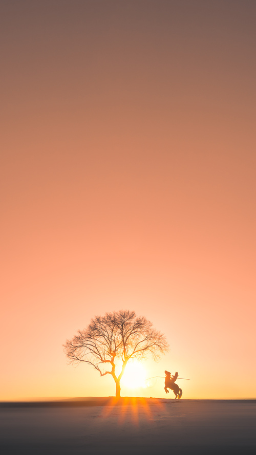 体育在线-跨界星火，佩德里在NBA总决赛之夜的高光魔幻时刻