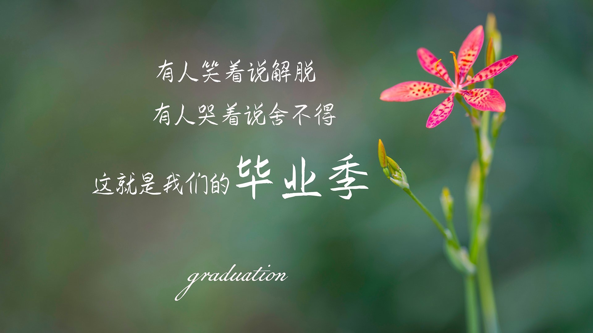 -冰火同炉，姆巴佩的利刃与丹麦的寒流，共证竞技场唯一铁律