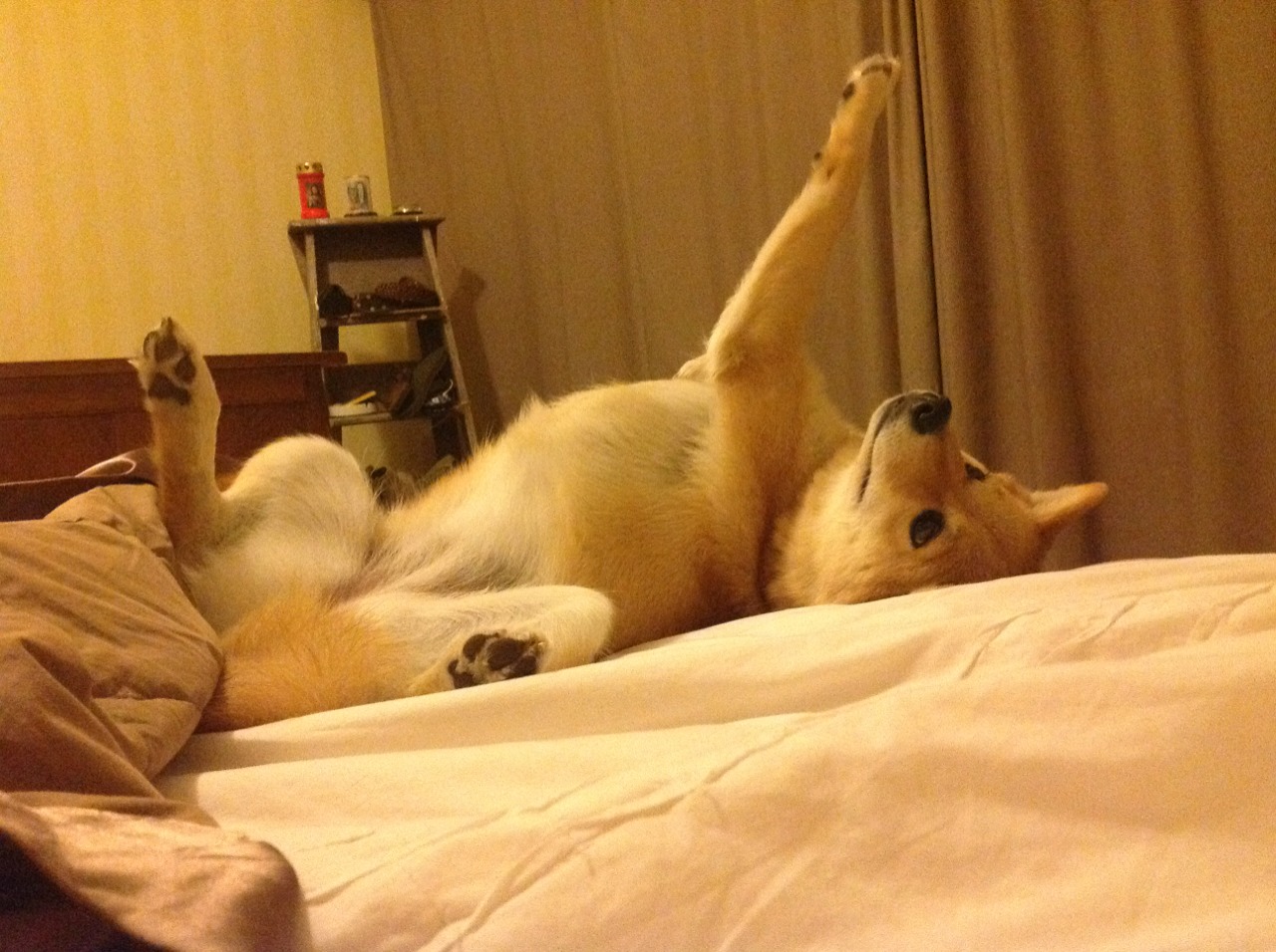 下载-两种节奏大师，拉亚的静与德国的动